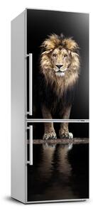 Foto tapeta na chladničku Portrét leva