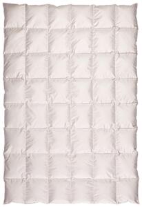 CELOROČNÁ PRIKRÝVKA, 155/220 cm, páperie z kačice z voľného výbehu Centa-Star - Prikrývky & vankúše, Online Only