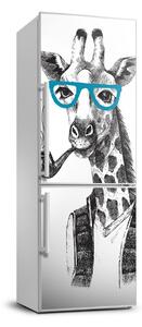 Foto tapeta na chladničku Žirafa v okuliaroch
