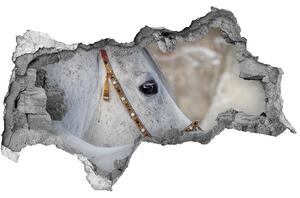 Diera 3D fototapeta nálepka Biela arabský kôň