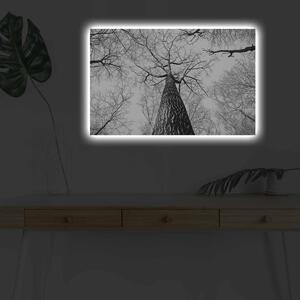 Wallity Maľba s LED osvetlením TREE ROOT 68 45 x 70 cm