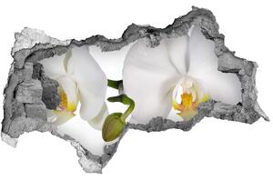 Samolepiaca nálepka fototapeta Orchidea nd-b-103920801