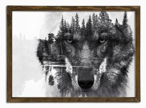 Wallity Nástenný obraz Wolf 50x70 cm čiernobiely