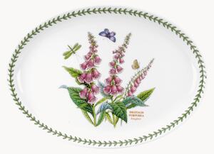 Oválny tanier Foxglove