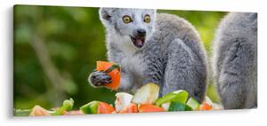 Obraz lemura (120x50 cm)