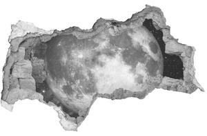 Foto fotografie diera na stenu Mesiac nd-b-79513509