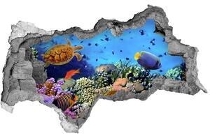 Diera 3D fototapeta nálepka Koralový útes nd-b-35544351