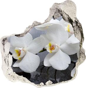 Diera 3D fototapety nálepka Orchidea nd-p-144310520
