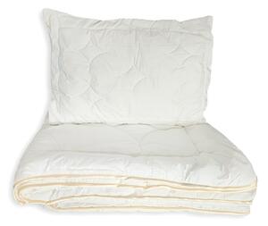 2G Lipov Súprava Lyocell-Tencel / bavlna pre bábätká 100x135 + 40x60 cm