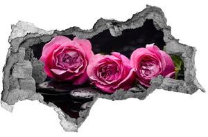 Samolepiaca diera na stenu Ružových ruží nd-b-77048055