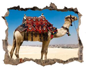 Fotoobraz díra na stěnu Camel v káhire nd-k-93235803