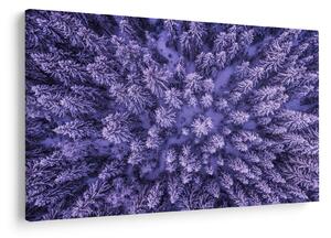 Obraz zasnežených stromov (90x60 cm)