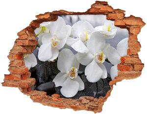 Samolepiaca diera na stenu nálepka Orchidea nd-c-143985624