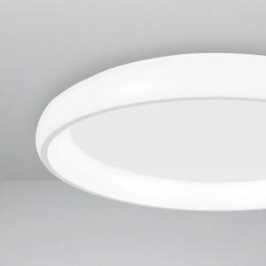 Stropné svietidlo LED so stmievaním Albi 40 biele