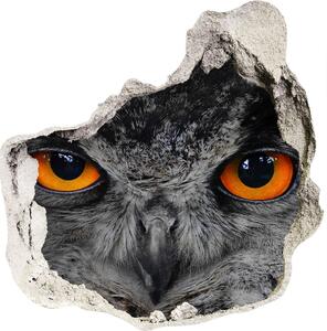 Fototapeta diera na stenu 3D Diabolské oči sovu