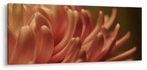 Obraz detailu kvety (120x50 cm)
