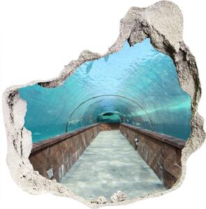 Samolepiaca diera na stenu Akvária tunel nd-p-82197217