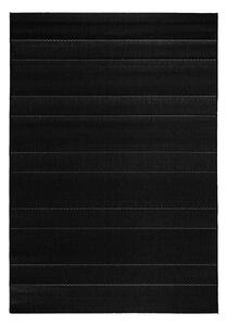 Hanse Home Collection koberce Kusový koberec Sunshine 102030 Schwarz – na von aj na doma - 200x290 cm