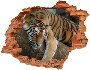 Diera 3D v stene nálepka Tiger na strome nd-c-4289086