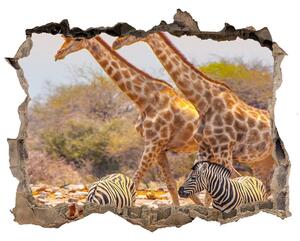 Díra 3D fototapeta nálepka Žirafy a zebry nd-k-99320619