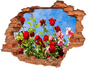 Samolepiaca diera na stenu Divoká ruža nd-c-104021490