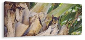 Obraz veveričky na strome (120x50 cm)