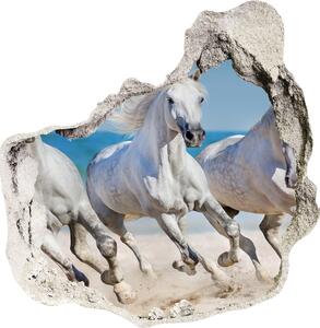 Samolepiaca diera na stenu White horse beach nd-p-95257914