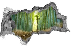 Nálepka fototapeta 3D výhľad Bambusové lesy