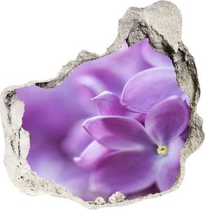 Diera 3D fototapety nálepka Fialové kvety nd-p-64853789