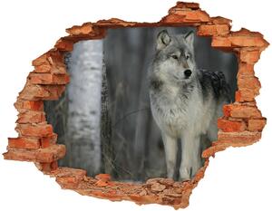 Diera 3D fototapeta nálepka Šedý vlk nd-c-57875164