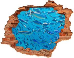 Diera 3D v stene nálepka Koralových rýb nd-c-39421860