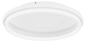 LED stropné svietidlo Willow R 45 biele