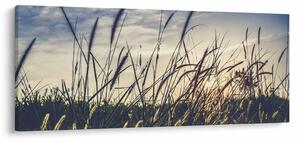 Obraz lúčnych kvetov (120x50 cm)