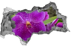 Samolepiaca diera nálepka Orchidea nd-b-64607986