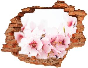 Fotoobraz diera na stenu Čerešňové kvety nd-c-79943111