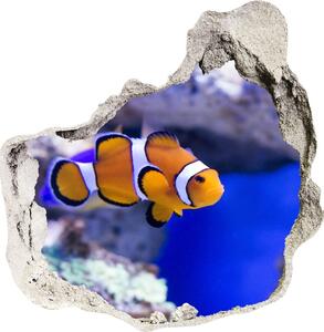 Nálepka fototapeta 3D na stenu Klaun koralový útes