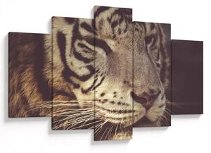 Obraz tigra (150x105 cm)