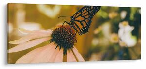 Obraz motýľa na kvetine (120x50 cm)
