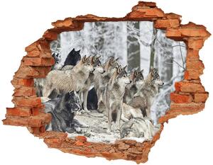 Fototapeta nálepka na stenu Nálepka vlci v zime