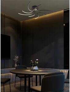 Dizajnové stropné svietidlo Diogo