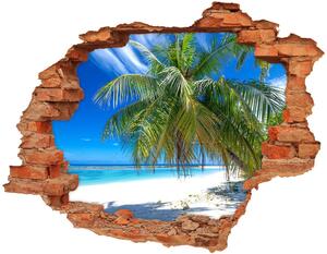 Fototapeta diera na stenu 3D Tropické pláže nd-c-82585815