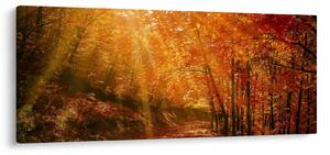 Obraz jesenného lesa (120x50 cm)