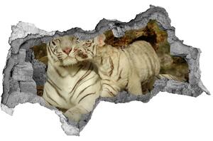 Diera 3D fototapeta nálepka Tigers nd-b-73601237
