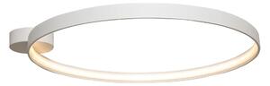 Moderná LED stropná lampa Circle 78 biele