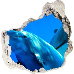 Fototapeta diera na stenu 3D Dva delfíny nd-p-16277956