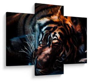 Obraz ležiaceho tigra (90x60 cm)