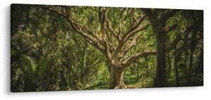 Obraz stromov (120x50 cm)