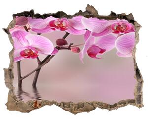 Samolepící díra na stěnu Ružová orchidea nd-k-79883275