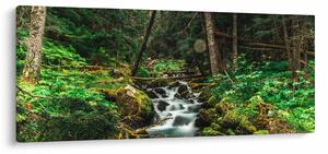 Obraz potoka v lese (120x50 cm)