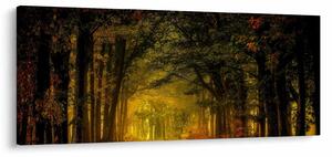 Obraz lesu (120x50 cm)